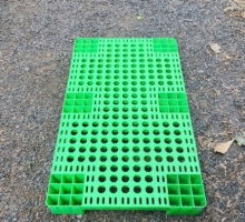 Pallet nhựa 100 x 100 x 60